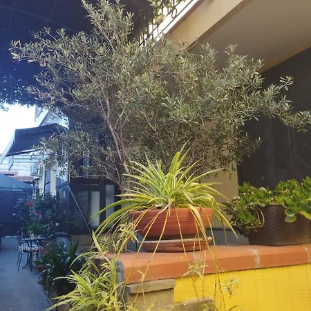 Casa de hóspedes To Fly Nápoles
