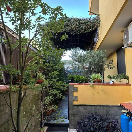 Guest house To Fly